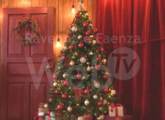 Hera: Per un Natale ‘green’ il giusto posto a tutti i rifiuti