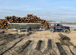I Carabinieri Forestali sequestrano oltre 400 metri di reti abusive nelle Valli di Comacchio