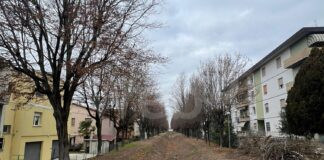 Massa Lombarda: 37mila euro investiti nella sicurezza e valorizzazione del verde urbano