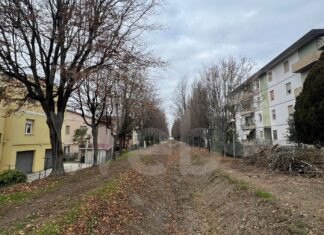 Massa Lombarda: 37mila euro investiti nella sicurezza e valorizzazione del verde urbano