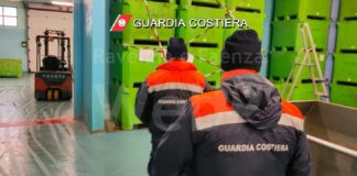 Guardia Costiera: sequestrati 7 tonnellate di prodotto ittico e sanzioni per 56.000 euro | VIDEO