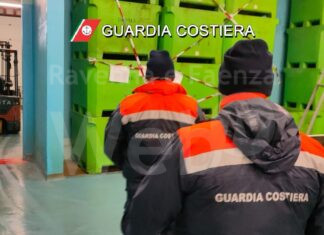 Guardia Costiera: sequestrati 7 tonnellate di prodotto ittico e sanzioni per 56.000 euro | VIDEO