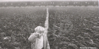 Una settimana al MAR tra le arti