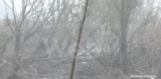 La paura del Comitato di Conselice: “Troppa legna accumulata lungo il Santerno a Passogatto”