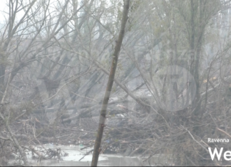 La paura del Comitato di Conselice: “Troppa legna accumulata lungo il Santerno a Passogatto”