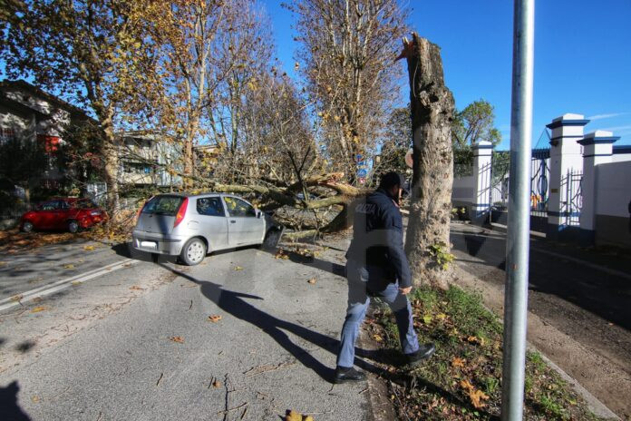 WhatsApp Image 2023-12-02 at 12.39.53