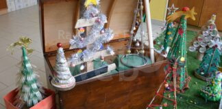 Alla scuola Ricci sono cresciuti gli ‘Alberi del cuore’