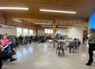 Disabiità: a Cotignola 3 incontri gratuiti sul tema del Dopo di Noi