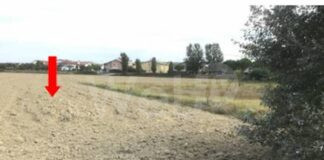 Ancisi (LpRa): “Respinte nuove antenne Tim-Vodafone a Piangipane. Grande sollievo per il paese”