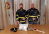 Fermato dalla Polizia con in auto 42 dosi di marijuana e hashish