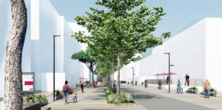 Proposta di delibera di Lista per Ravenna per non abbattere i pini di Lido di Savio