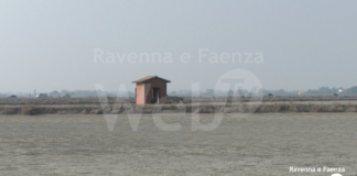 Nel 2024 riparte la produzione della salina di Cervia, ma la raccolta fondi continua