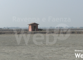 Nel 2024 riparte la produzione della salina di Cervia, ma la raccolta fondi continua