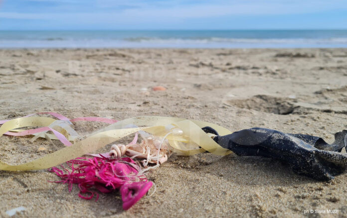 spiaggia Tagliata_ph Silvia Muzzi