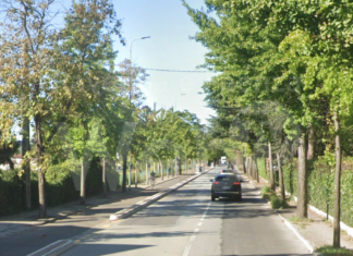 Precarie condizioni di staticità: taglio di alberi in via Canal Grande