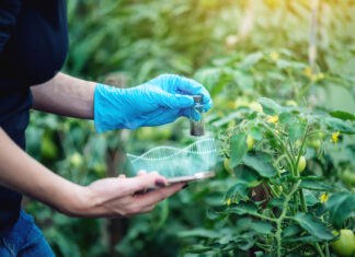 Coldiretti Ravenna: migranti e manodopera, occorre superare il “click day”