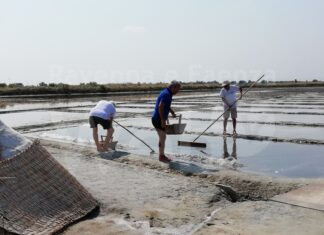 Salina di Cervia Patrimonio Immateriale UNESCO Avviato l’iter di preparazione all’invio della candidatura