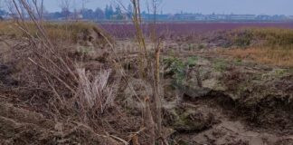 Coldiretti: “Bene pioggia dopo autunno-inverno bollente, ma il territorio è ancora troppo fragile”