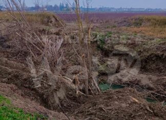 Coldiretti: “Bene pioggia dopo autunno-inverno bollente, ma il territorio è ancora troppo fragile”