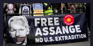 Ravenna in Comune: “Assange cittadino di Ravenna”