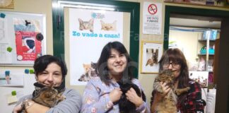 L’Enpa di Lugo presenta il bilancio: grande lavoro dei volontari in prima linea per la difesa e il soccorso degli animali in difficoltà