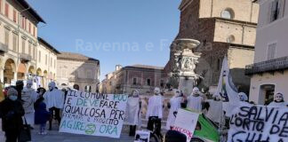 Extinction Rebellion e Faenza Eco-logica contro il consumo di suolo a Faenza