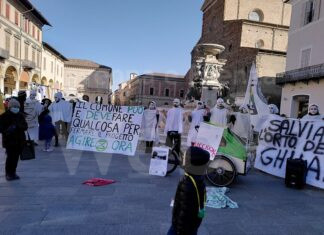 Extinction Rebellion e Faenza Eco-logica contro il consumo di suolo a Faenza