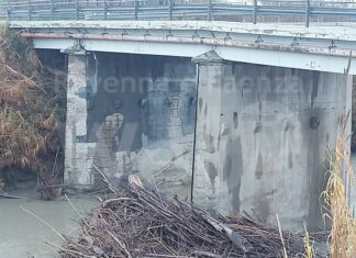 Comitato Noi Ci Siamo: “Un’altra allerta meteo. Ma i fiumi sono pieni di cataste di alberi”