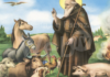Enpa Ravenna celebra la festa di Sant’Antonio Abate, patrono degli animali