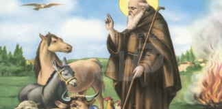 Enpa Ravenna celebra la festa di Sant’Antonio Abate, patrono degli animali