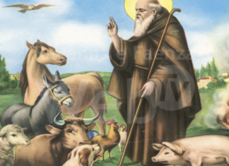 Enpa Ravenna celebra la festa di Sant’Antonio Abate, patrono degli animali
