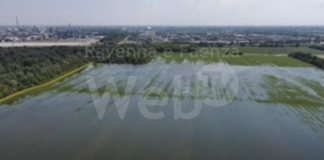 “L’allagamento dei terreni della Cab Terra è stato insufficiente” Ancisi interroga il sindaco