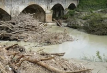 Autorizzata per il 2026 la raccolta manuale del legname caduto nei corsi d’acqua per uso domestico