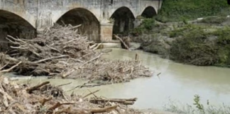 Autorizzata la raccolta del legname caduto negli alvei dei fiumi o trasportato sulle sponde