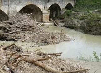 Autorizzata la raccolta del legname caduto negli alvei dei fiumi o trasportato sulle sponde