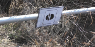 Vitali (PdF): “Autovelox abbattuto: gesto di ribellione ad una percezione diffusa di malcontento e sfiducia verso amministrazioni.”