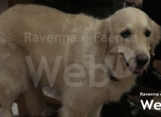 Festa di Sant’Antonio Abate, patrono degli animali: Tanti i partecipanti alla Santa Messa