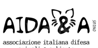 Tragedia di via Dradi: Aida&a presenterà una denuncia