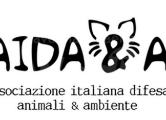 Tragedia di via Dradi: Aida&a presenterà una denuncia