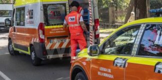 Investita e uccisa mentre porta a spasso il cane