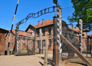 Quattro studentesse cervesi visiteranno Auschwitz