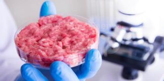 Stop Carne coltivata, Coldiretti: C’è maggioranza qualificata in UE