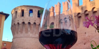 Dazi sul vino. Legacoop: “Accordo sbagliato. Servono compensazioni dall’Europa”