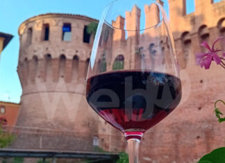 Di Vino in Vino alla Rocca di Riolo Terme: Un Pomeriggio di eccellenza enologica