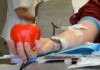 Calano le donazioni di sangue: “Occorrono campagne di sensibilizzazione”