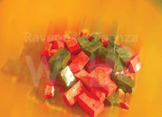 Ripartono i Corsi di mosaico a Tagliata di Cervia dove da 29 anni s’impara l’arte musica con l’Associazione culturale “Il Cerbero”