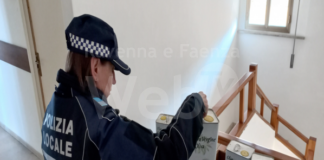 Olio di oliva sequestrato: provenienza sconosciuta e senza data di scadenza