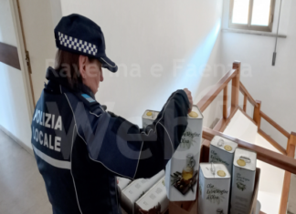 Olio di oliva sequestrato: provenienza sconosciuta e senza data di scadenza