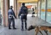 Il Comune di Ravenna cerca 10 nuovi agenti di Polizia Locale