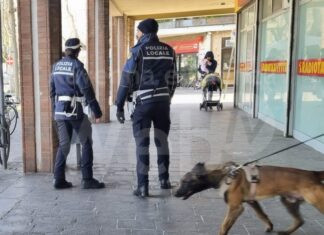 Polizia locale, controlli antidroga in zona stazione con unità cinofila